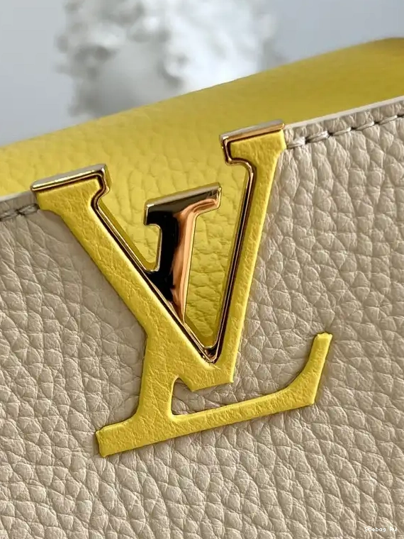 VUITTON BB CAPUCINES LOUIS 0529